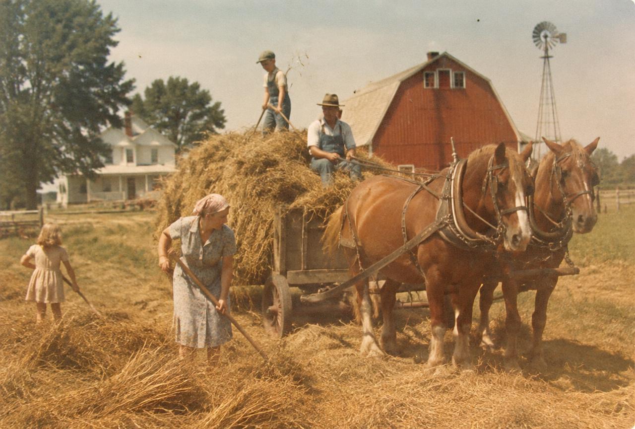 Sample: harvest time on the farm
